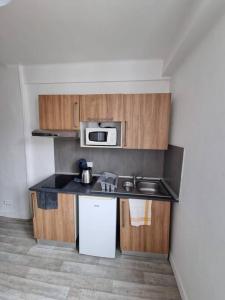 Appartements Le Jungle - Lourdes - Proche Sanctuaire : Appartement 1 Chambre