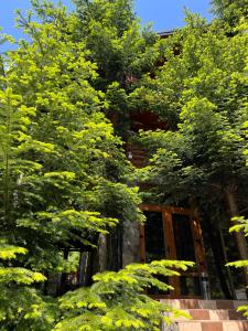 VIP HOUSES Карпати Мигово