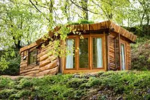 Little Hollows Glamping - Redmarley DʼAbitot