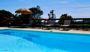 Appartements Bas de villa vue mer & piscine : photos des chambres