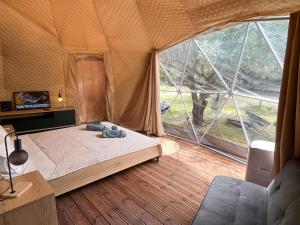 Manna Gea Glamping Domes