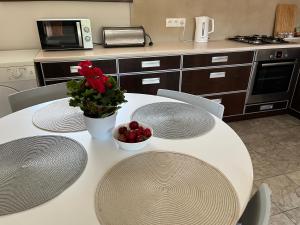 Apartament z tarasem