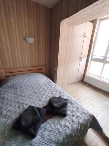 Золотава студія, 5 хвилин від залізничного вокзалу