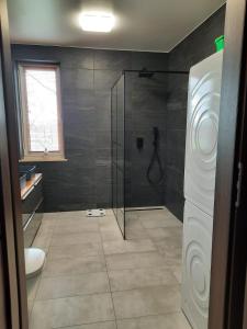 Nadmorski Bursztyn - Puck