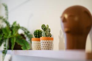 Golden Flat, apartamento mobiliado, em João Pessoa