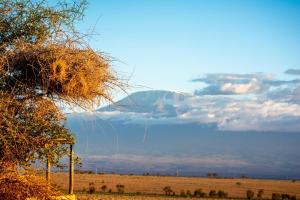 Amboseli RedHouse