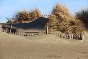 Appartements avocette, joli nid cosy, calme a cote des remparts : photos des chambres