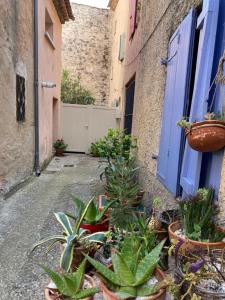 Sejours chez l'habitant Maison de village avec vue : photos des chambres