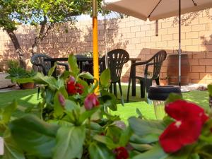 Su Fassoi Cabras img30