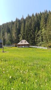 Cabana Păstrăvului