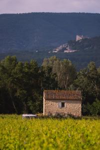 Campings Nuit insolite au milieu des vignes : photos des chambres