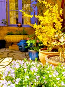 La Lanterne Chambres dHotes