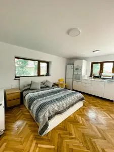 Studio minunat de vacanta Cristian - 克里斯蒂安