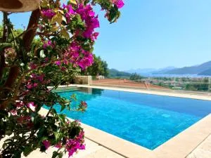 Villa Paradaise is Magnificent Villa with Sea view and infinity Pool - 戈西克