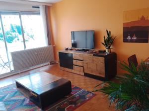 Appartements Appartement avec balcon : Le Serenity : photos des chambres