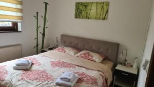 Apartman Renata