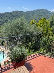 Villas Entre Nice et Monaco grande Villa avec piscine privee 12 personnes : photos des chambres