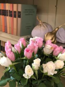 Tulipán Villa Panzió