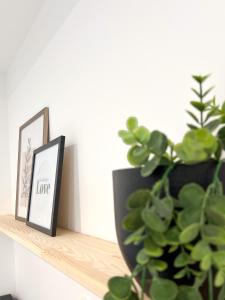 Appartements Appart'Hotel Le Jaures - Jardin prive et Netflix : photos des chambres
