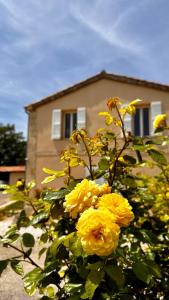 Maisons de vacances Maison du bonheur : photos des chambres