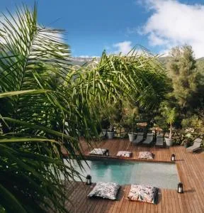 VILLA HOLISTIKA : BED AND BREAKFAST / POOL / AIR CONDITIONING/ MONT FARON TOULON - 土伦