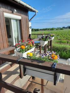 B&B / Chambres d'hotes Le Domaine de Canesse : photos des chambres