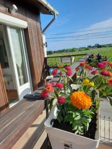 B&B / Chambres d'hotes Le Domaine de Canesse : photos des chambres