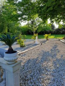 B&B / Chambres d'hotes Le Domaine de Canesse : photos des chambres