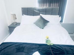 1 bed apartment