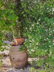 Maisons de vacances Les jardins d'Isa : photos des chambres