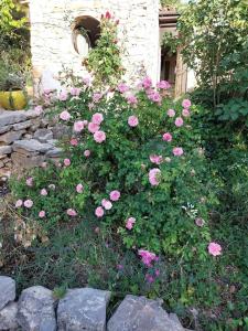 Maisons de vacances Les jardins d'Isa : photos des chambres