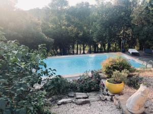 Maisons de vacances Les jardins d'Isa : photos des chambres