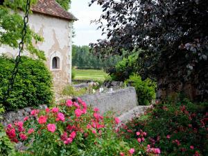 Maisons de vacances Beautiful cottage with swimmingpool adjacent to an exquisite 14th century castle : photos des chambres