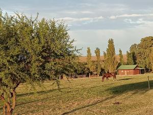 Cabañas Maria Maria Conchillas