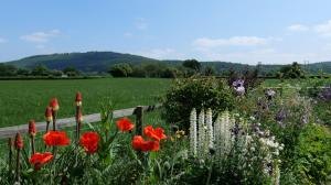Country Cottage with Far Reaching Views