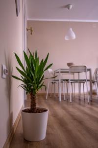 Charna apartment Beograd Železnik