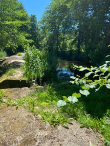 Maisons de vacances Imagine Natural Life - Ancien moulin avec spa : photos des chambres