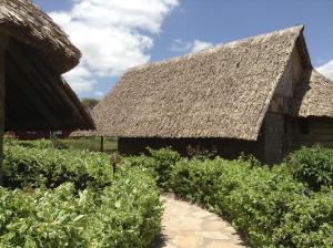 AA Lodge Amboseli