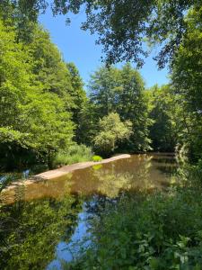 Maisons de vacances Imagine Natural Life - Ancien moulin avec spa : photos des chambres