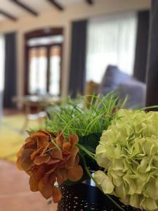 Apartman Zlatić