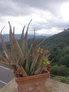 Bed & Breakfast Ca di Vissai