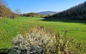 GUESTHOUSE Idila pod Nanosom