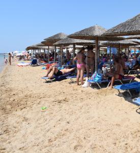 Gioulis Apartments & Studios