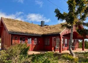 Large cabin Sjusjøen best view, sauna, ski inout - Nordseter