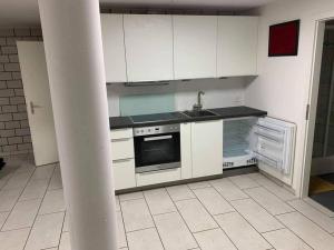 Basel - 5 mins away - Modern Basement Studio with Kitchen 35m2 in Muttenz