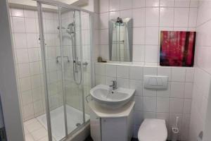 Basel - 5 mins away - Modern Basement Studio with Kitchen 35m2 in Muttenz