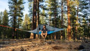 Adventure Forest