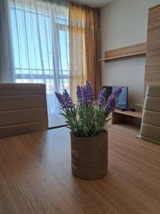 Sorrento Sole Mare apartment