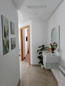 Appartement s+1