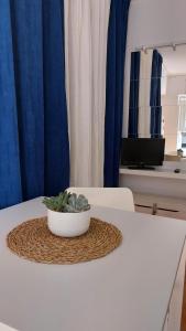 Sailing Studio Açoteias